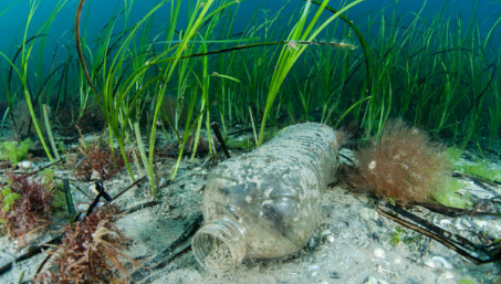 Breitling участвует в программе по сохранению экологии океана