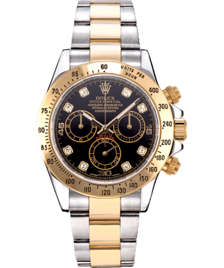 Daytona oyster online